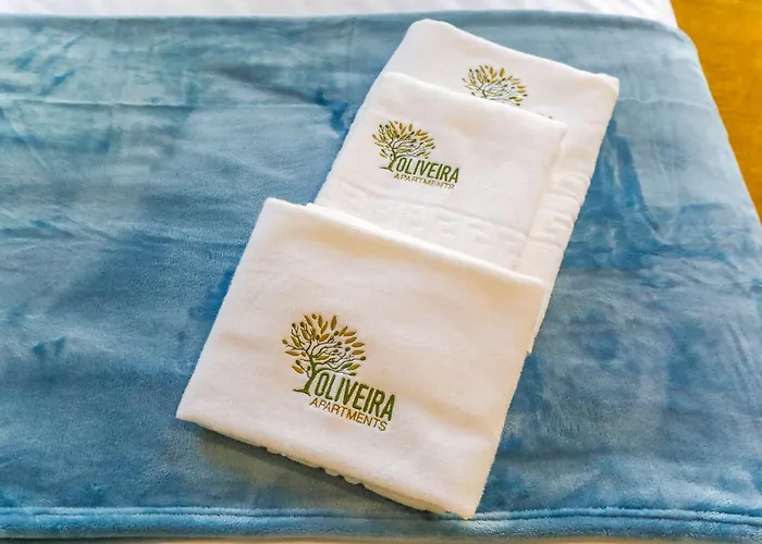 Oliveira Apartment's 公寓 波尔图